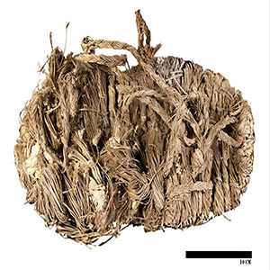 The most striking find was a woven esparto sandal dating back between 650 and 750 years ago. Credit: A. Margalida et al., Ecology (2025)