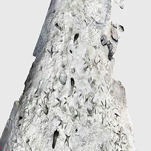 A 3D computerized model of the surface of the area near Lake Turkana in Kenya shows fossil footprints of Paranthropus boisei (vertical footprints) with separate footprints of Homo erectus forming a perpendicular path. Credit: Kevin Hatala/Chatham University