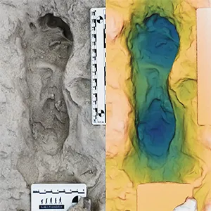 Overhead image (left) and height map (right) of 3D model of hominin footprint track H3 at Lake Turkana. Scale bars are 15 cm and 8 cm. Height map spans 8 cm from deepest blue to white. Credit: Science
