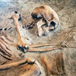 Scientists are developing a 'pregnancy test' for skeletons