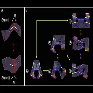 High shape-shifting efficient multistable shell metastructures and their multifunctional robotic applications. Credit: ScienceAdvances