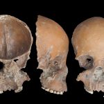 5,000-year-old human skulls and bones were carved into tools in China