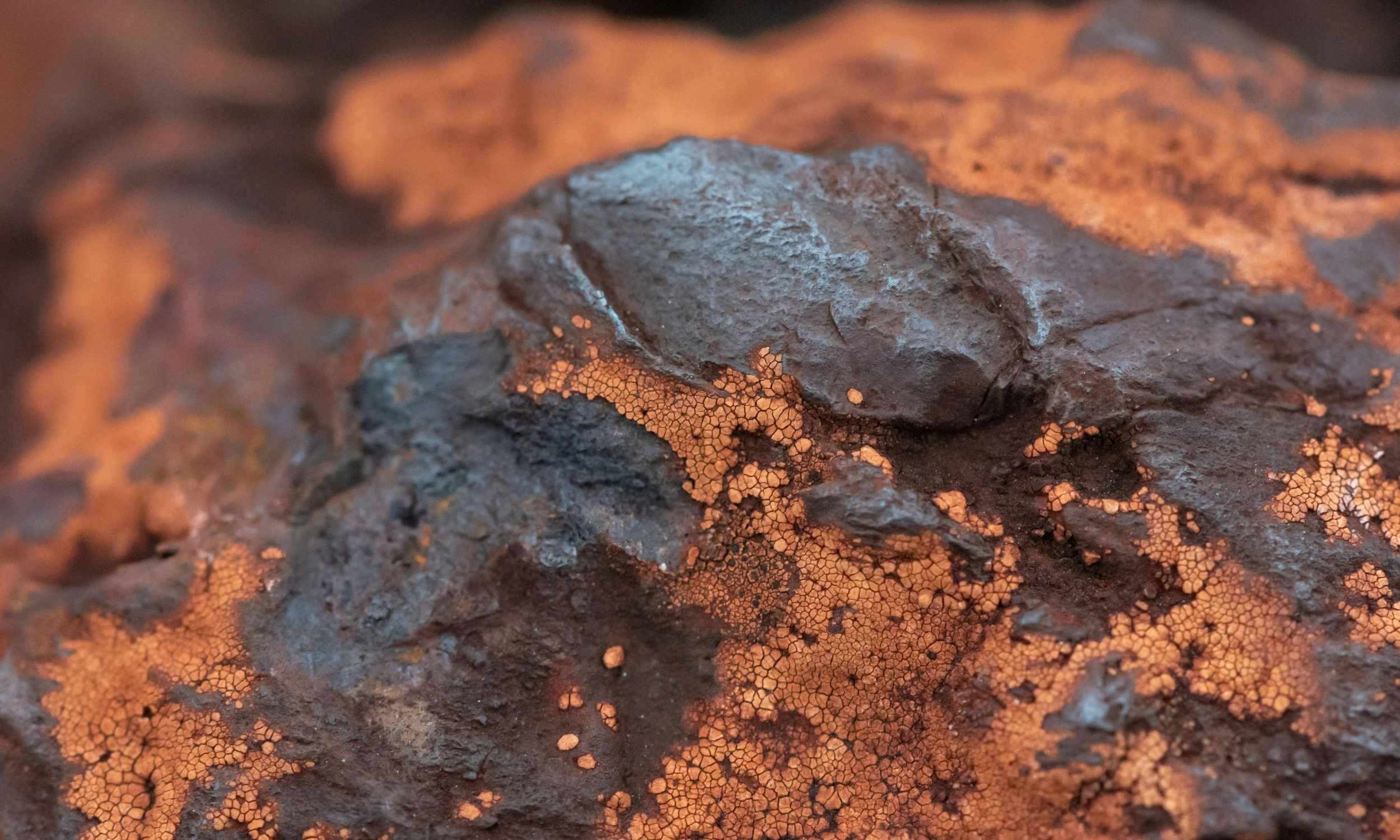 Australia's 'iron giants' are much younger than previously thought