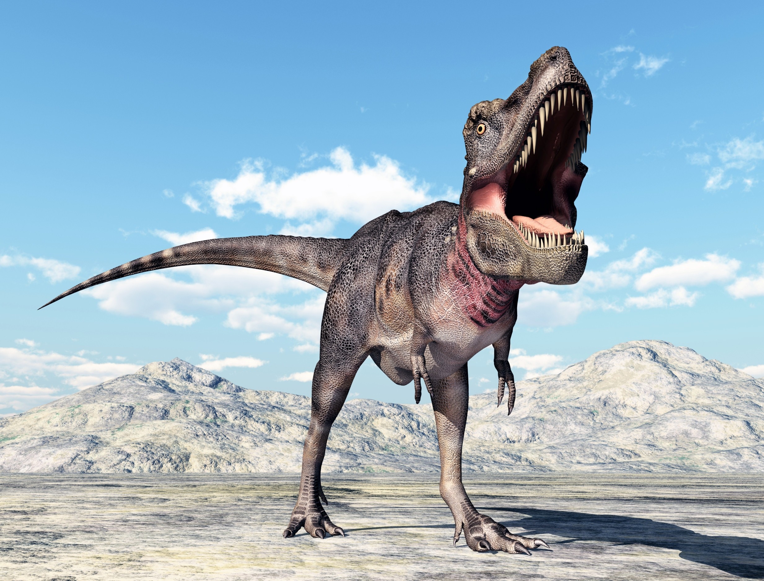 Final days of dinosaurs: What life was like before extinction