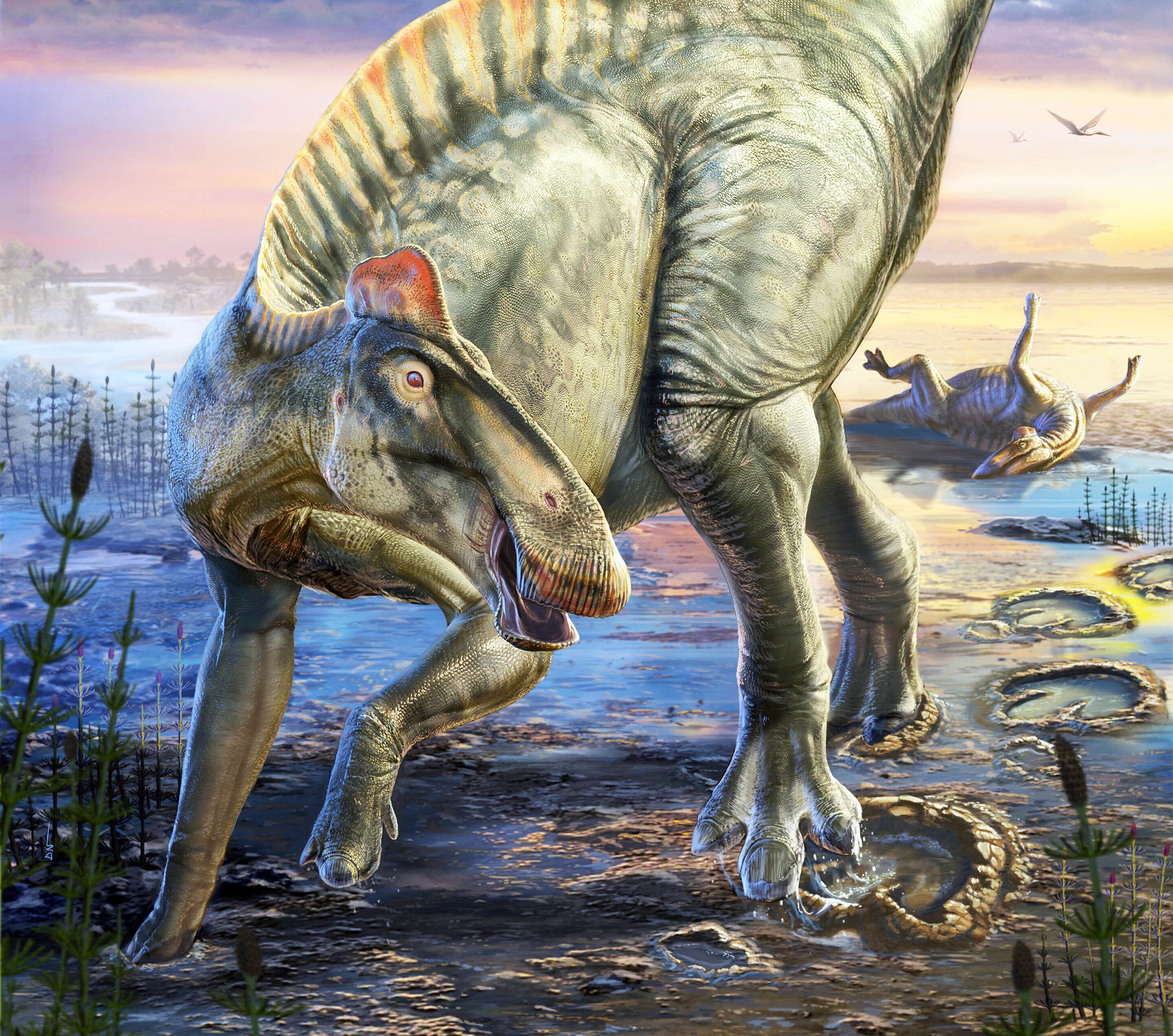 Scientists find very well-preserved duck-billed dinosaur ‘mummies’ Scientists find very well-preserved duck-billed dinosaur ‘mummies’