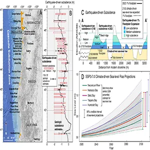 (A) Washington, Oregon, and California coastal estuaries analyzed in this study. The orange polygons depict the 1% floodplain after high earthquake-driven subsidence in 2023 (defined baseline year). (B) Modeled earthquake-driven subsidence values (red rectangles) constrained by 1700 CE earthquake geologic subsidence estimates. The dark gray continuous line shows one example of the medium subsidence from a full-margin rupture scenario. (C) Cross-section from the Necanicum River estuary showing current MHHW and 1% floodplain elevations and the shift upward that occurs. (D) Climate-driven local sea-level rise projections. Credit: PNAS/Virginia Tech