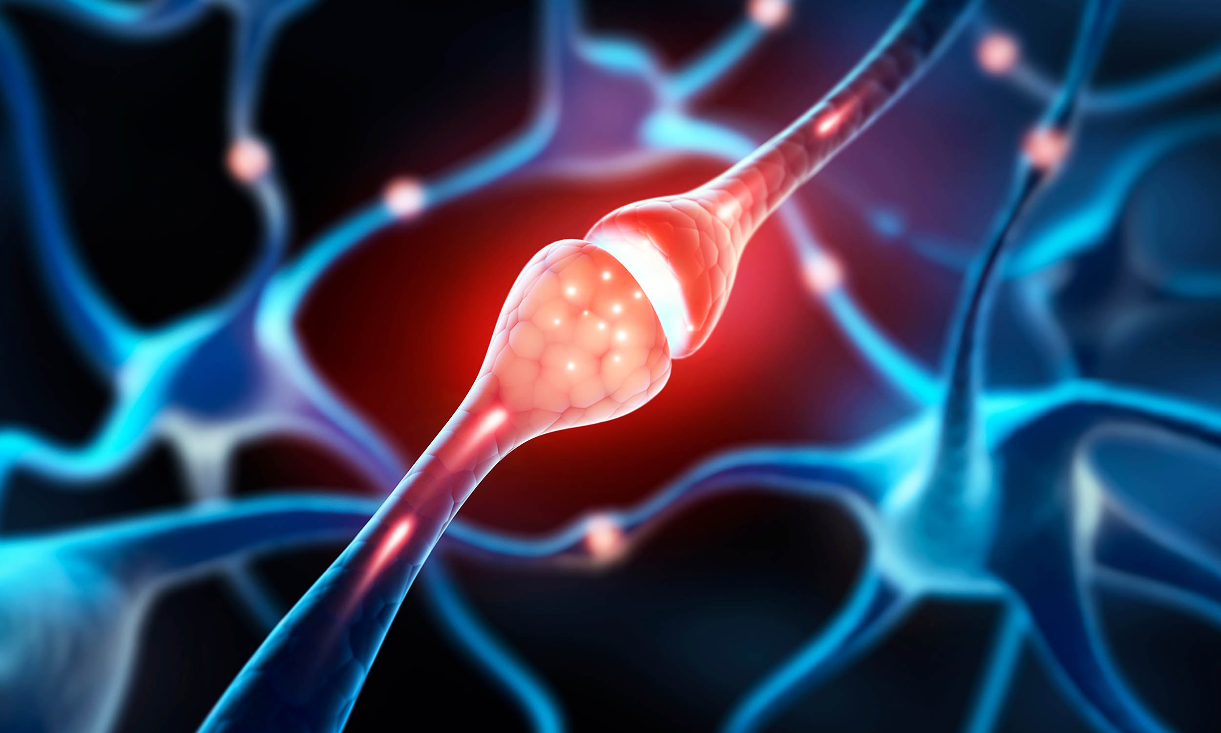 Discovery upends 100-year-old assumption about brain cells Discovery upends 100-year-old assumption about brain cells