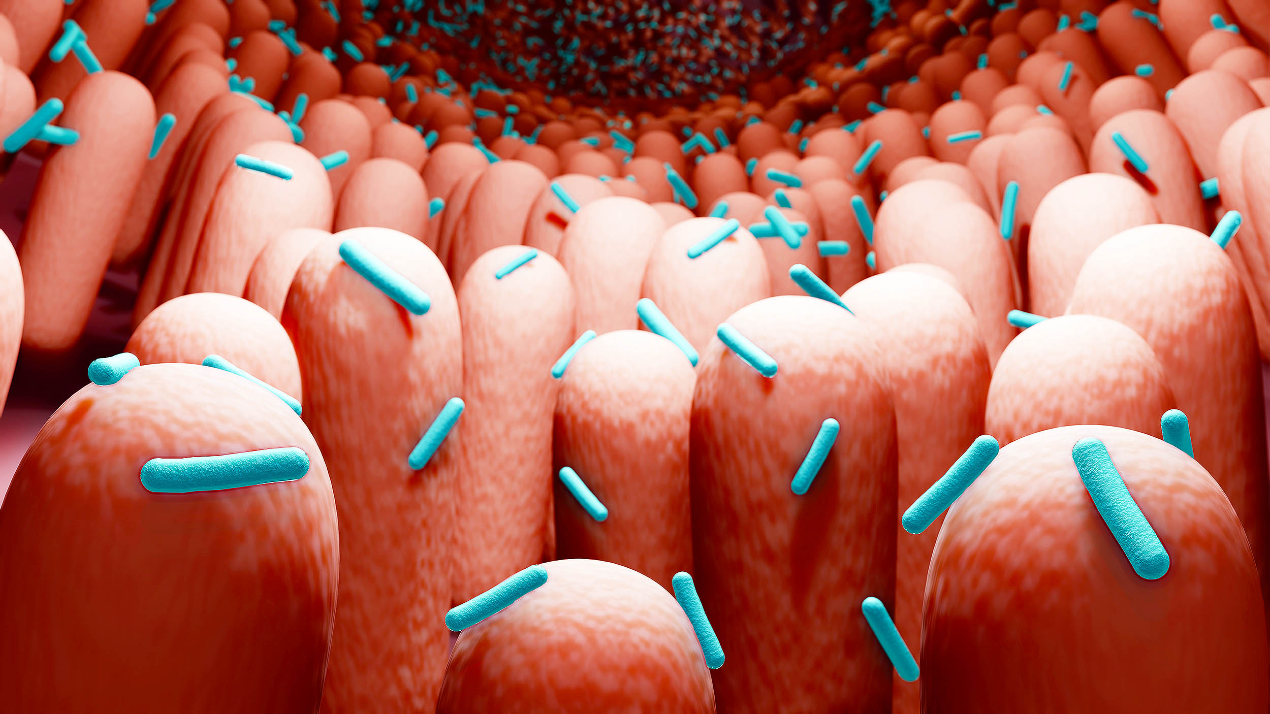 New virus-like life forms found in the human body: “It’s insane” New virus-like life forms found in the human body: “It’s insane”