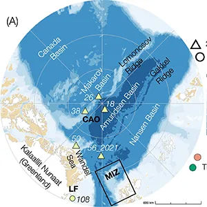 Nitrogen fixation under declining Arctic sea ice. (A) North-Pole-centered overview of the Central Arctic Ocean (CAO) and the stations sampled during the Synoptic Arctic Survey (SAS) in 2021. (B) Enlargement of the MIZ region and the stations sampled along two transects during the ATWAICE cruise 2022. Credit: Nature Communications Earth & Environment