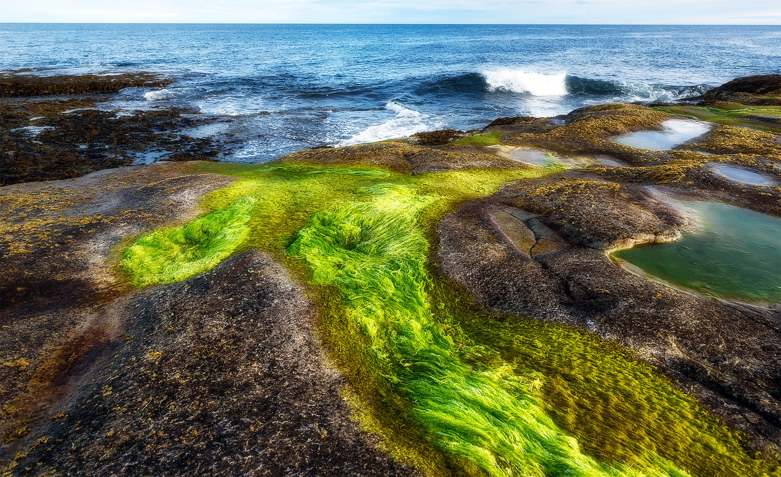 New phenomenon discovered in the Arctic could be a silver lining ...