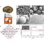 Reptiles don't urinate like humans, they 'pee' tiny crystals. Credit: ACS