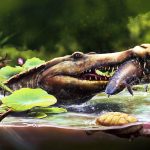 Wadisuchus kassabi: Ancient crocodile from Egypt rewrites the origins of its entire family. Credit: Nathan Dehaut/MUVP