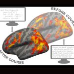 Our brains are wired to learn computer code