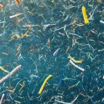 Darker fabrics shed more microplastics in sunlight