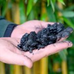 Rinsing biochar can ruin its ability to clean toxic lead from water