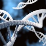 Ancient DNA reveals how far Neanderthals roamed across Eurasia