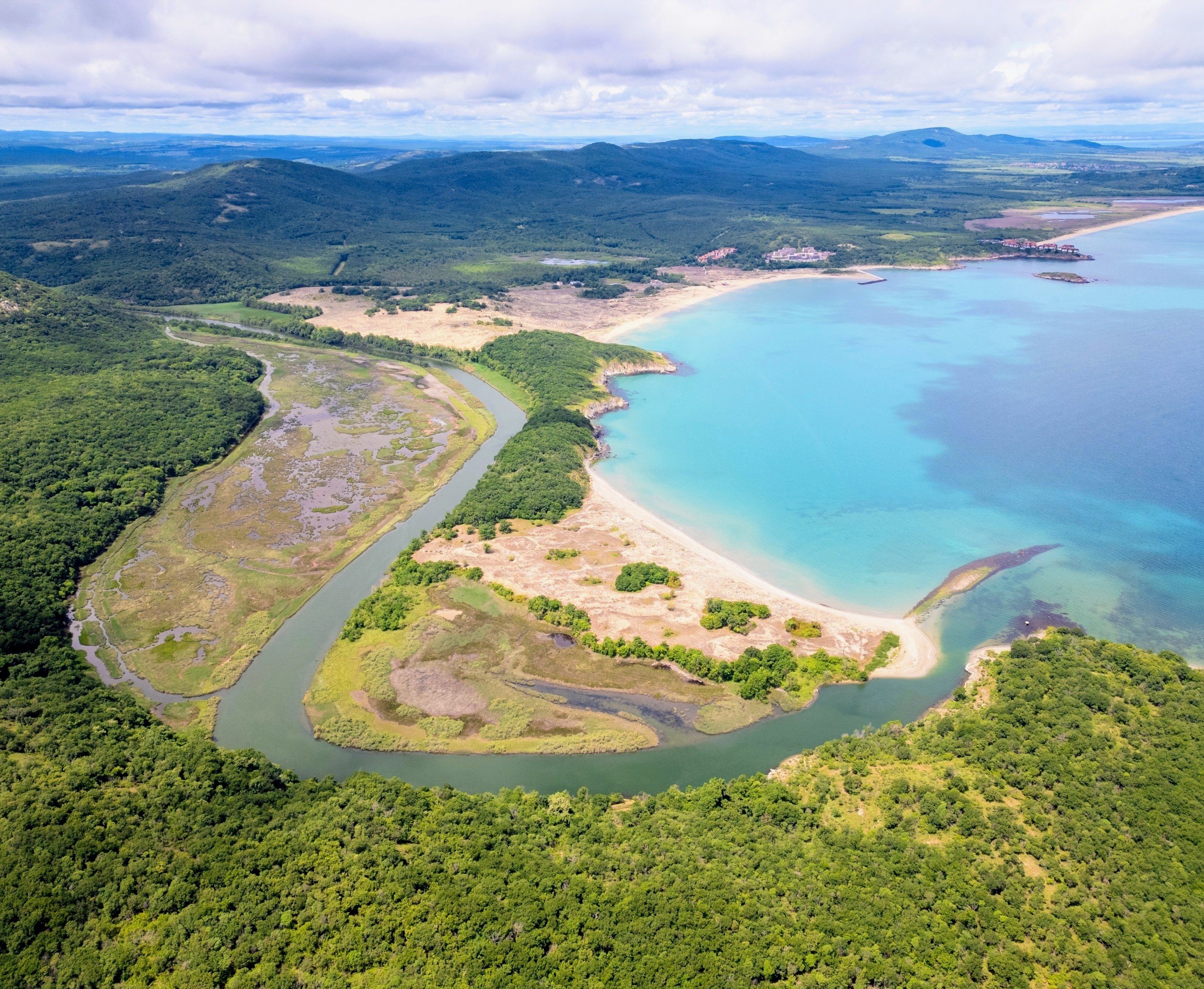 Wetlands quietly clean up pollution - and save communities millions