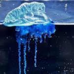 Warming seas bring a dangerous jellyfish to Japan’s coast