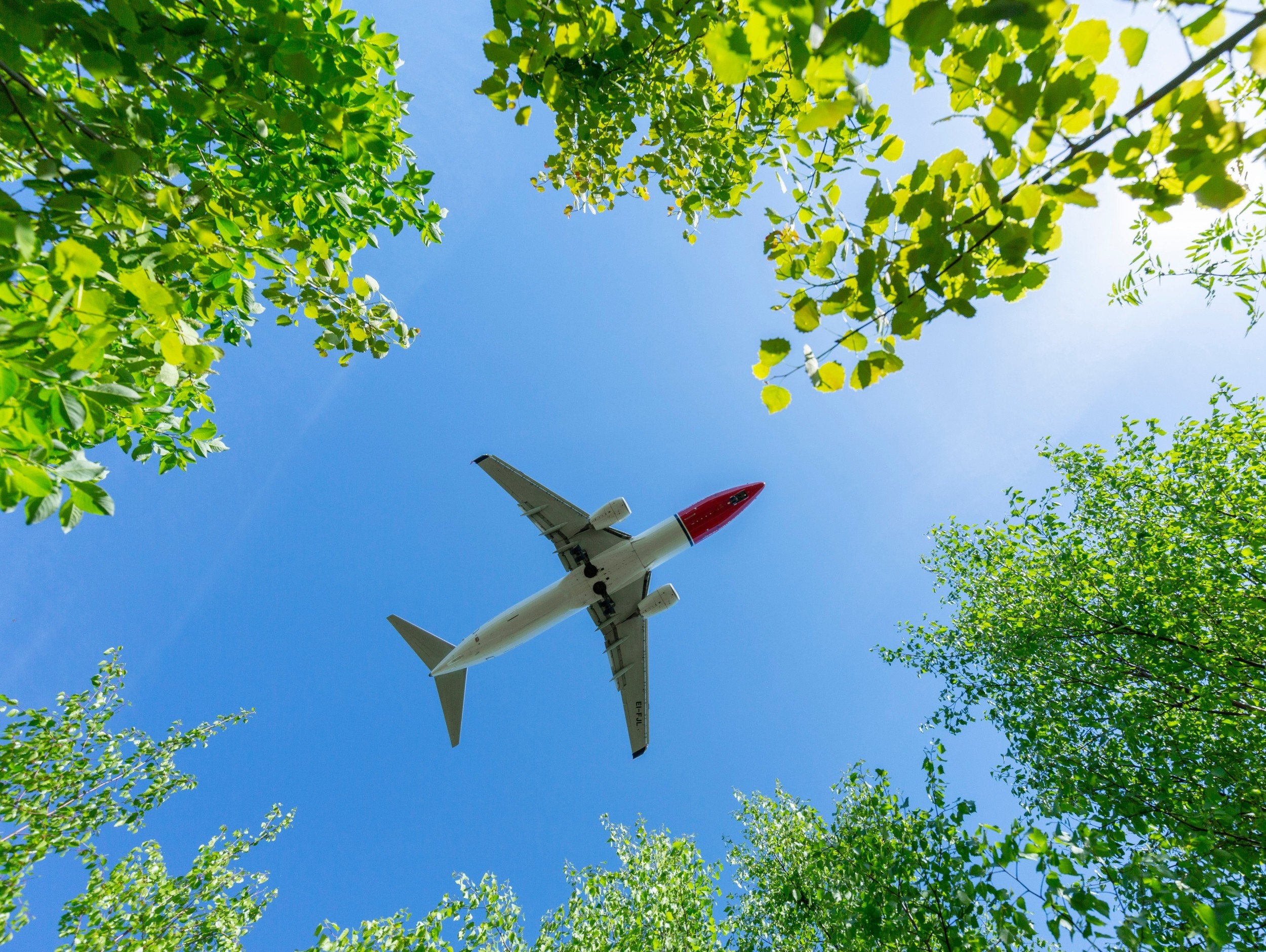 Your flight's climate cost is much higher than you think