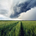 How a silver crystal can turn clouds into rain