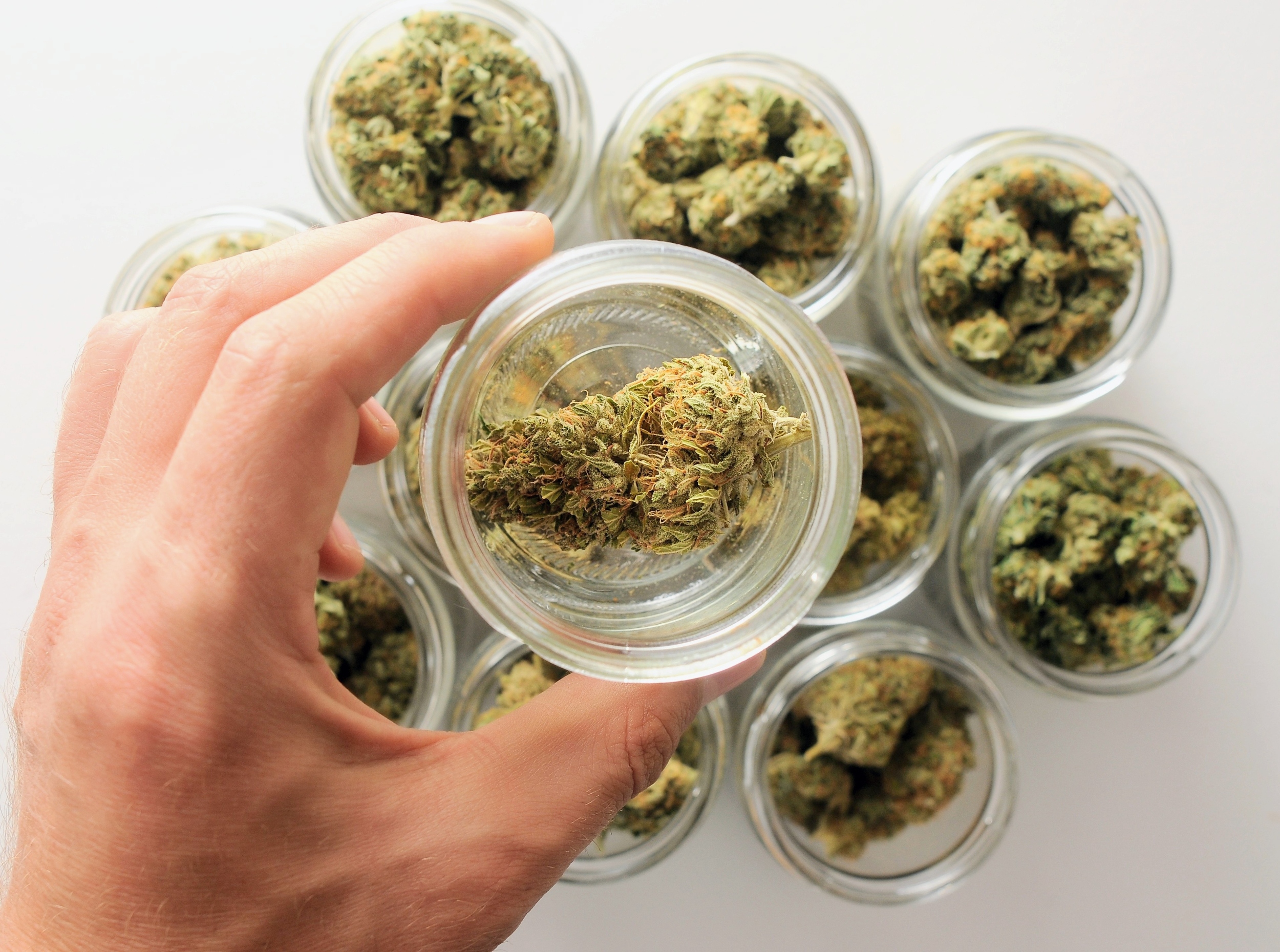 Cannabis stores: How easy access is changing adult behavior in good ways and bad