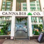 Cannabis stores: How easy access is changing adult behavior