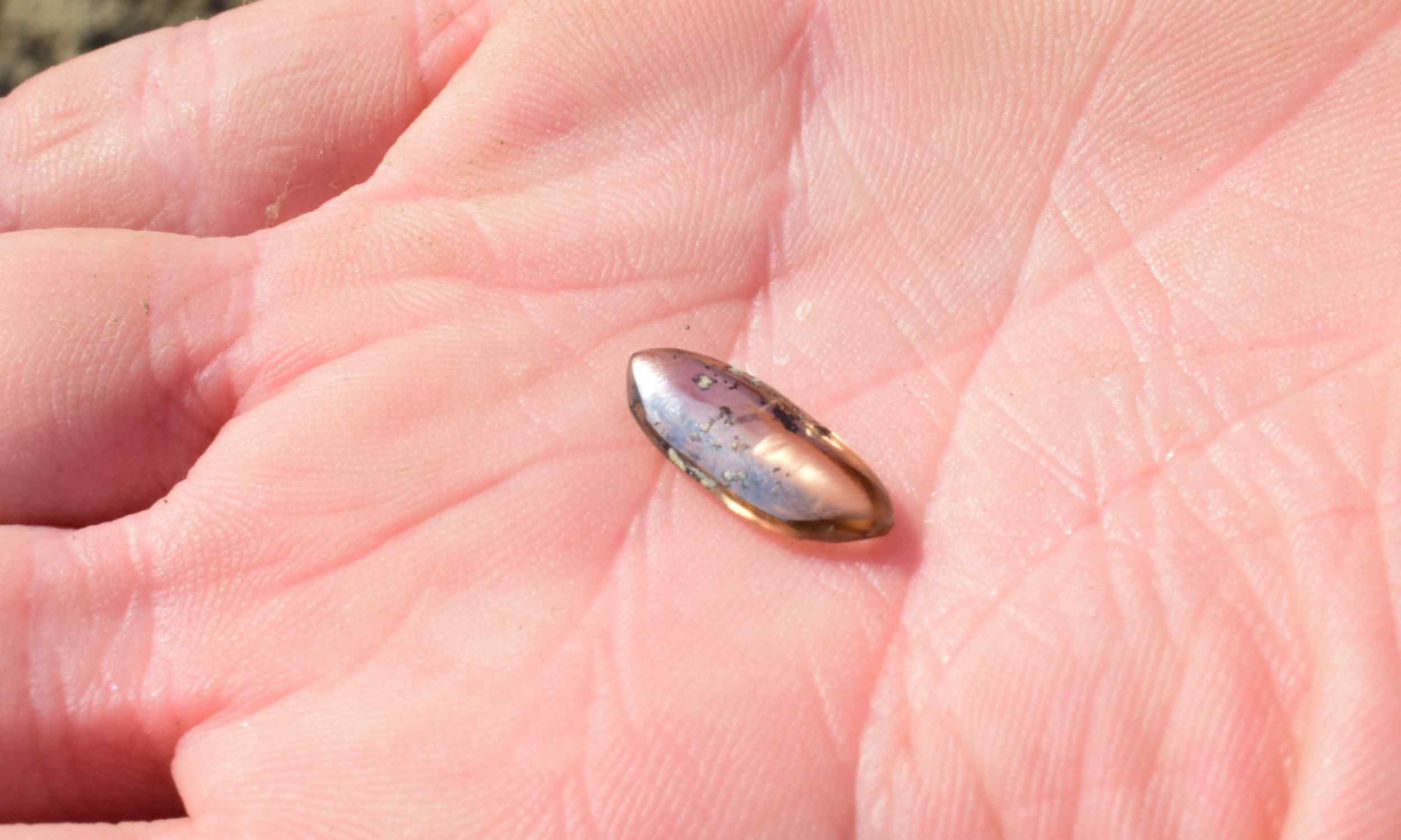 Birthday celebration led to discovery of 2.79-carat brown diamond