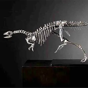 Enigmacursor was found by a commercial quarry and acquired from the David Aaron Gallery. Credit: David Aaron Gallery