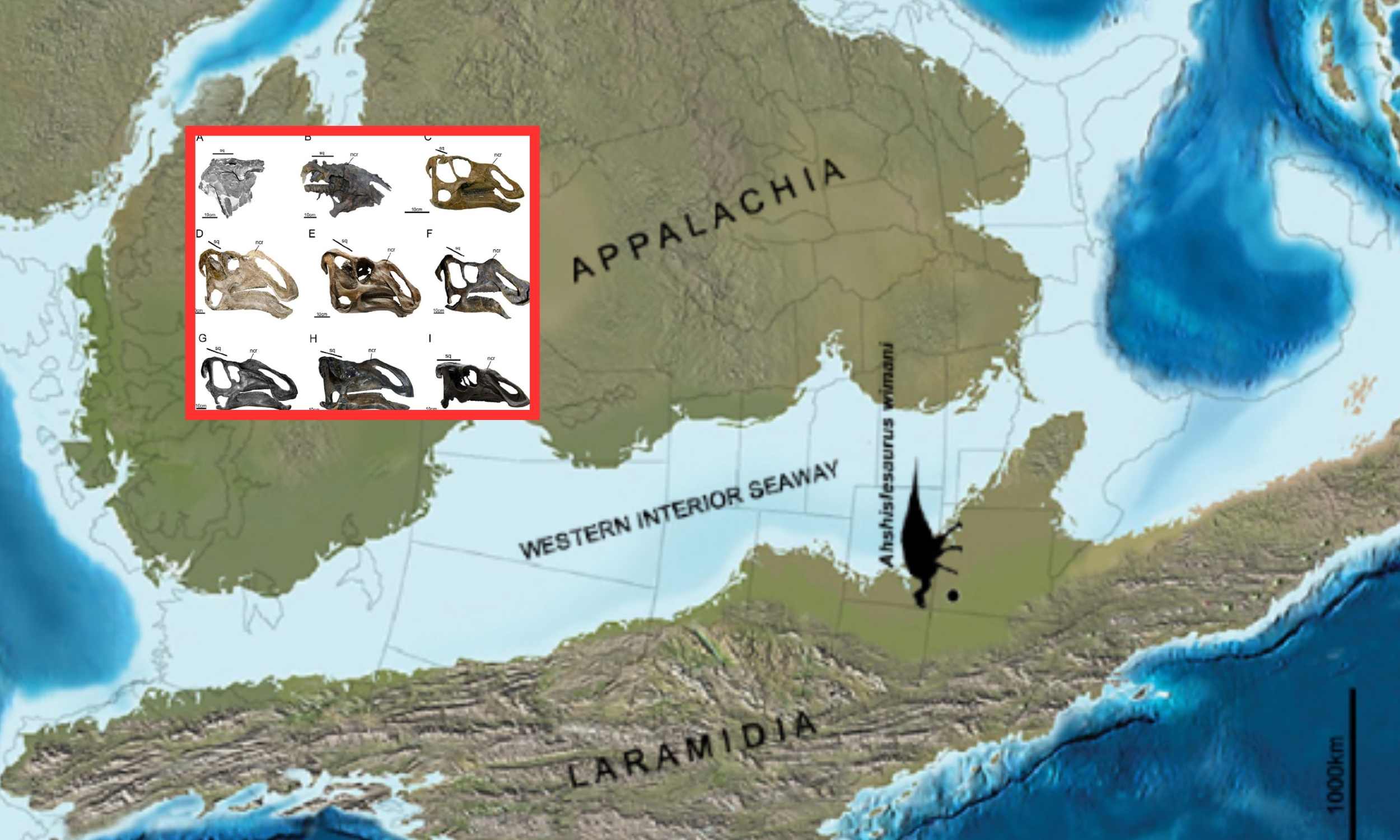Nine-ton giant dinosaur with duck-like face discovered in New Mexico