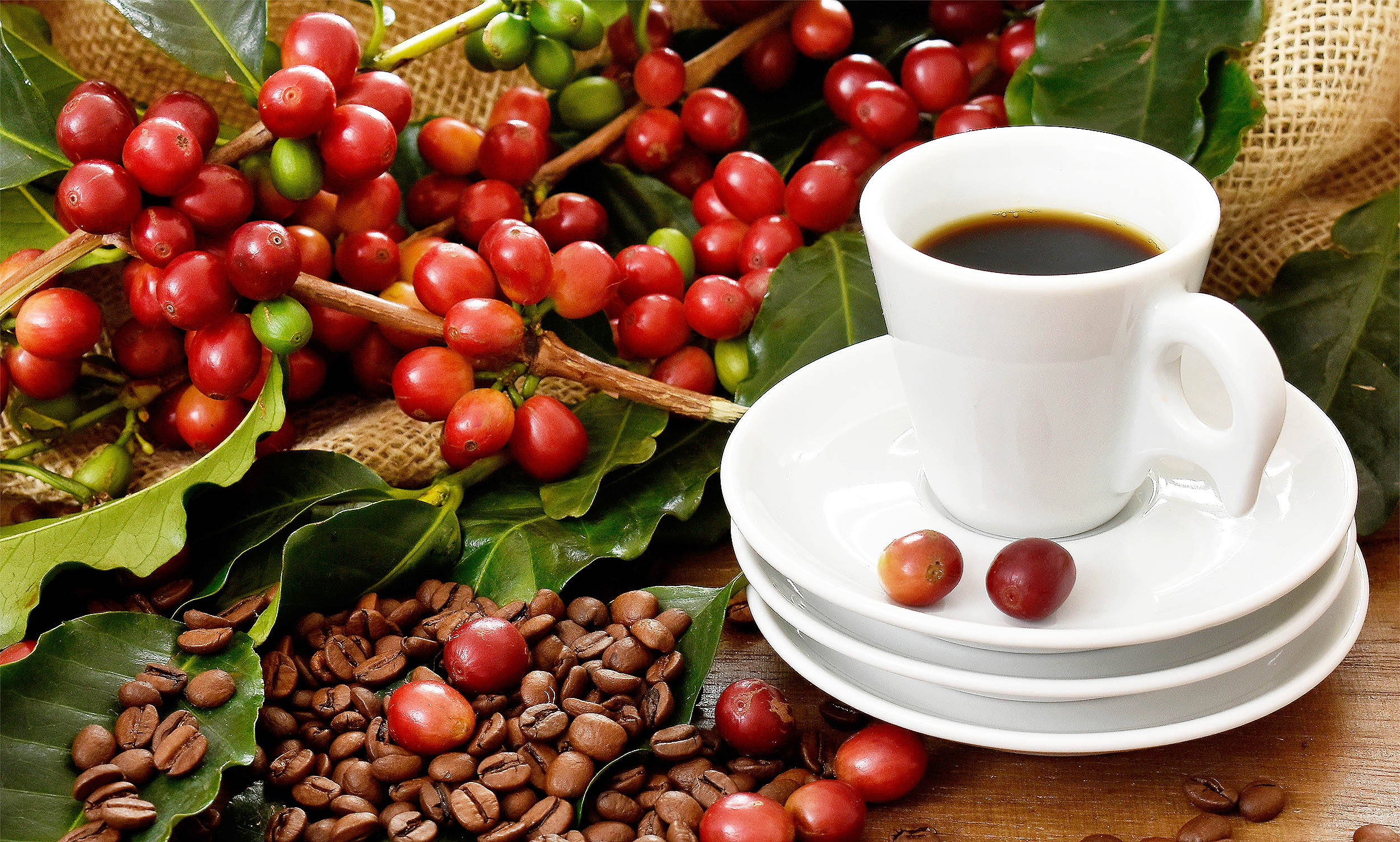 It may be too late to save coffee, chocolate, and wine production - Earth.com