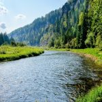 Some rivers are soaking up carbon instead of releasing it