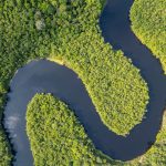 Human disturbance has caused a diversity crisis in the Amazon