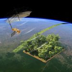 Satellites reveal why the Amazon forest is struggling to store carbon