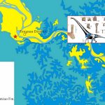 Tongnanlong zhimingi: Colossal dinosaur measuring up to 92 feet long discovered in China, challenging the limits of gigantism