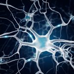 Self-repair switch in the brain may help reverse memory loss