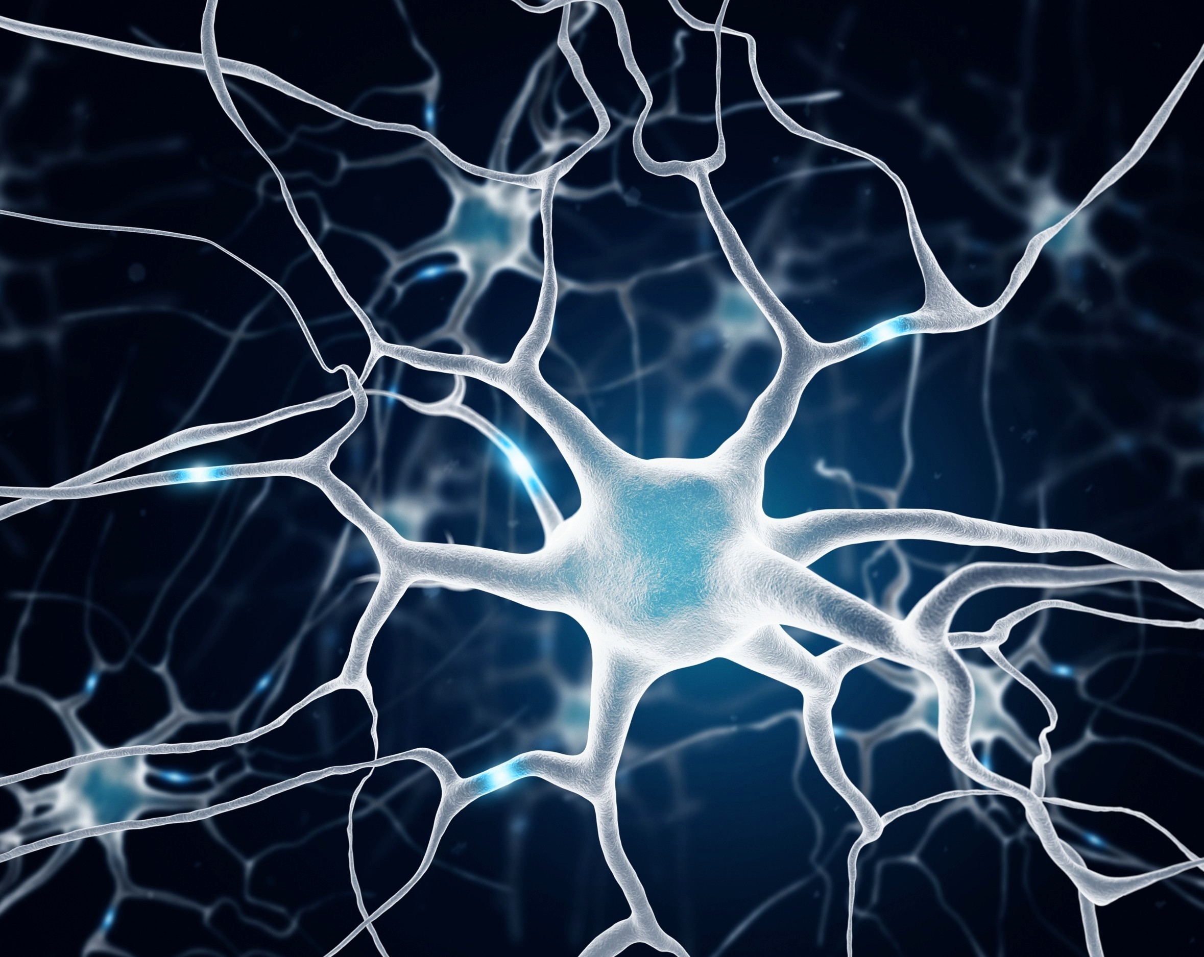 Self-repair switch in the brain may help reverse memory loss - Earth.com