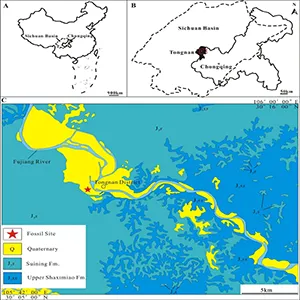 Maps of the Tongnanlong zhimingi fossil locality in Tongnan District, Sichuan Basin, China. The star represents the fossil site. (A) Sketch map of China showing the geographical locations of Sichuan Basin. Credit: Scientific Reports