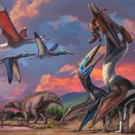 Two pterosaurs appear together in Mongolia… and one points to the lineage of giants