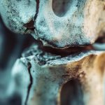 Science discovers a way for bones to repair themselves