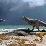 New duck-billed dinosaur species discovered, Taleta taleta, that lived just before the extinction event