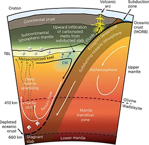 EM components accumulate over Gyr timescales through multiple phases of enrichment. This can occur through the upwelling (that is, return flow) of carbon-bearing melts from the mantle transition zone, as well as the percolative upward transport of carbonated melts sourced from down-going subducted oceanic slabs. Credit: Nature