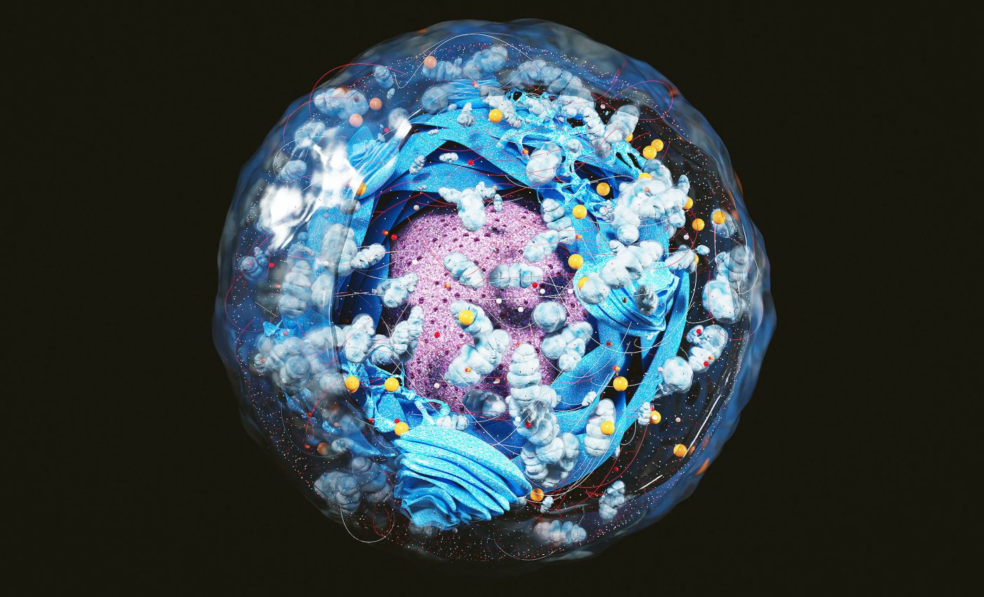 دانشمندان یک «تایمر مرگ و میر» درون سلول‌های انسانی کشف کردند