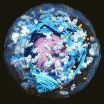 Scientists discover a 'mortality timer' inside human cells