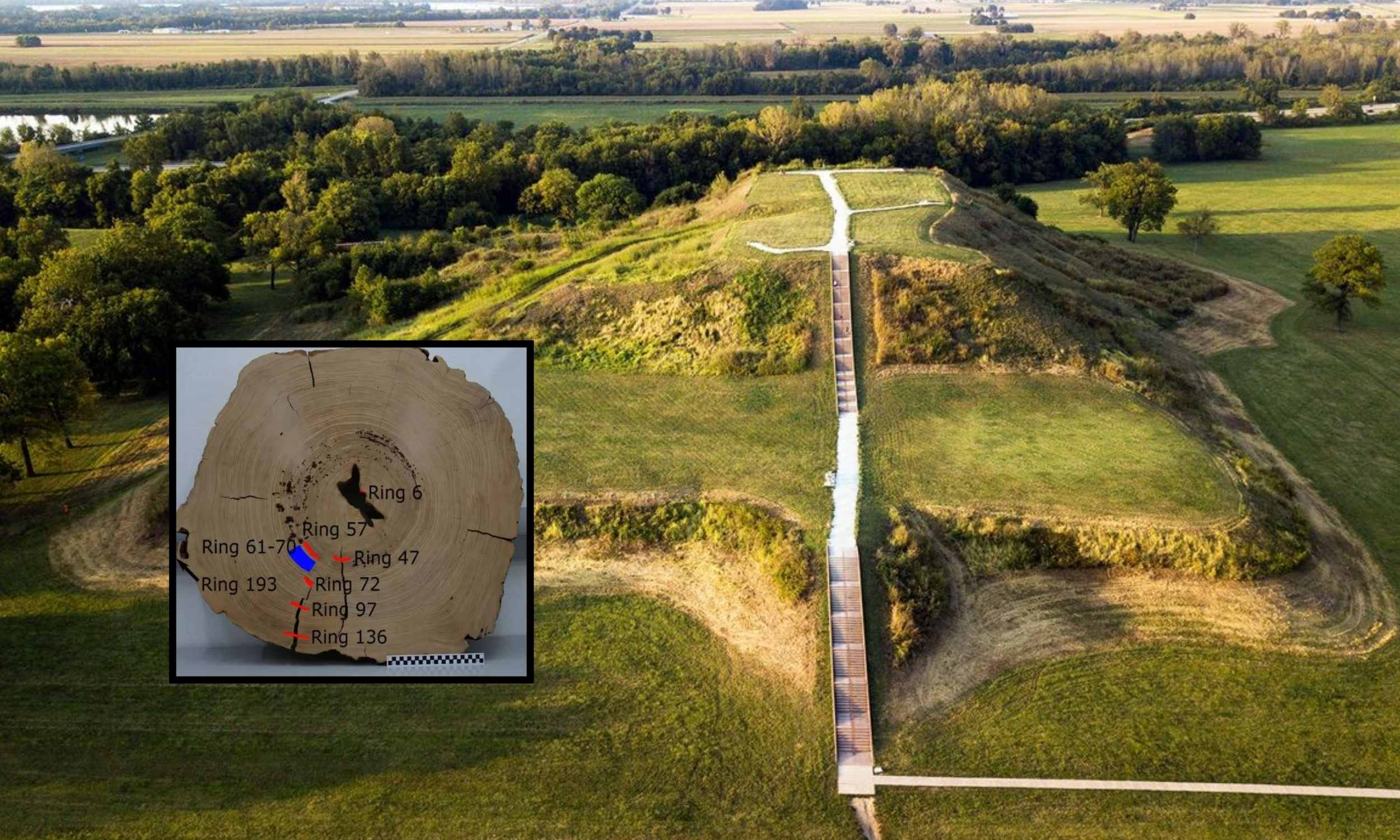 900 years ago, ancient Americans somehow moved a 5-ton tree over 100 miles