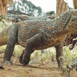 Long before dinosaurs, a fierce crocodile ancestor dominated Earth, Tainrakuasuchus bellator. Credit: Caio Fantini