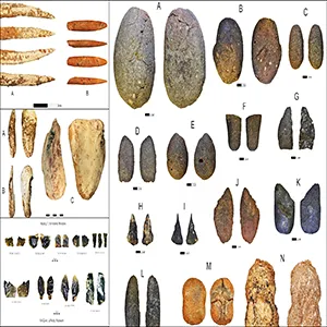 Samples of ancient technology discovered in and around Mindoro. Clockwise, from upper left: a bone fishing gorge (A) and a possible gorge fragment (B); hammer stones (A-F), pebble tools (G-L), and net sinkers (M, N); obsidian cutting tools from Mindoro (top) and Palawan (bottom), exhibiting similar chemical composition; and Tridacna giant clam shell adzes (A,B) and a shell tool (C). (CREDIT: Photos and figures by A. Pawlik; after Pawlik et al. 2025; Pawlik & Piper 2019; Neri et al., 2015)