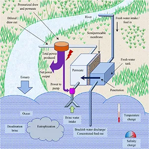 Infographic explaining how osmotic power plants work. Credit: Science Direct
