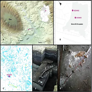 (A) Topographic map of the area around the town of Schöningen. The open-cast mine is outlined, and the Spear Horizon site is indicated by a purple dot. Top right shows the location of Schöningen within Germany. (Graphic: Utz Böhner, Dirk Fabian). (B) Excavation map of the site Schöningen 13II. (Modified graphic: Jens Lehman). (C) Bones are displayed in blue, flint tools in red, and wooden artefacts in green. Spear I is located south of the sampled horse skull. (Graphic: Ivo Verheijen). (D) In-situ photo of spear I from the Spear Horizon. (Photo: Peter Pfarr). (E) Photo of spear II from the Spear Horizon, surrounded by numerous remains of Equus mosbachensis. (Photo: Peter Pfarr). Credit: Nature Ecology