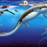 Arctic fossil graveyard on Spitsbergen shows marine ecosystem returned quickly after Earth's largest mass extinction. Credit: Robert Beck