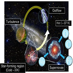 Material circulation in a galaxy: Diffuse warm gas loses energy through radiation and conduction and form a disk like structure (galactic disk). When massive stars - roughly 10 times the mass of the Sun - reach the end of their lifetimes, they explode as supernovae. These explosions inject both energy and heavy elements into the surrounding interstellar gas and induce turbulence. A part of these materials is ejected as outflow and eventually fall back to the galactic disk, where forms the next generation stars. These enriched materials finally forms planets like the Earth and lives like us. Credit: NASA/JPL-Caltech, ESA, CSA, STScI